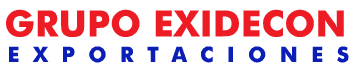 Logo Grupo Exidecon