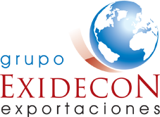 Logo Grupo Exidecon